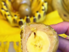 Ler matéria: Banana do Amor