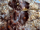 Ler matéria: Brigadeiro de Pipoca Caramelizada